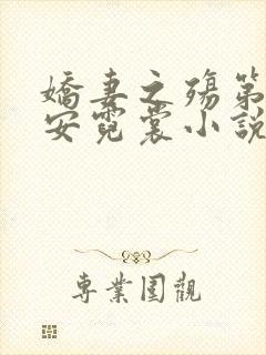 娇妻之殇第二部安霓裳小说