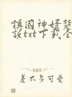 镇国神婿楚尘小说txt下载全文