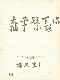 太子殿下你被逮捕了 小说