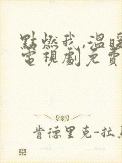 点燃我,温暖你电视剧免费观看全集免费