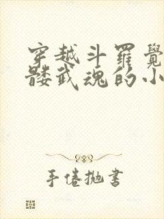 穿越斗罗觉醒骷髅武魂的小说