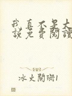 我真不是大佬小说免费阅读