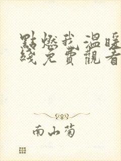 点燃我温暖你在线免费观看全集