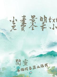 小麦景明txt免费全本小说软件