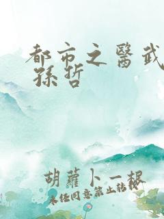 都市之医武双修 孙哲