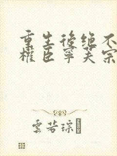 重生后绝不嫁给权臣宁芙宗肆的小说