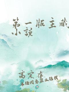 第一版主藏经阁小说