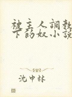 被主人调教成脚下的奴小说全文阅读