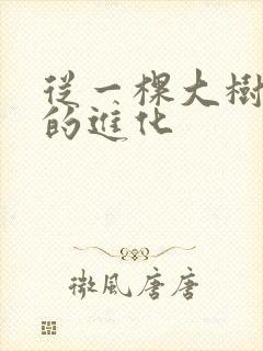 从一棵大树开始的进化