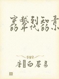 穿越到知青下乡的年代的小说