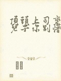 顶头上司变后妈儿子你别懵短剧全集大结局