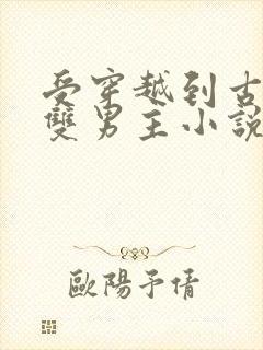 受穿越到古代的双男主小说