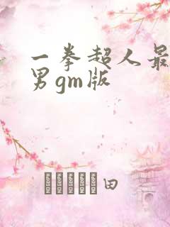 一拳超人最强之男gm版