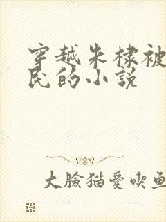 穿越朱棣被贬农民的小说