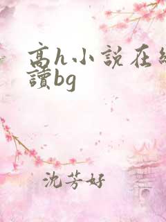 高h小说在线阅读bg