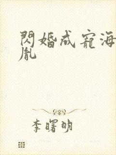 闪婚成宠海彤战胤