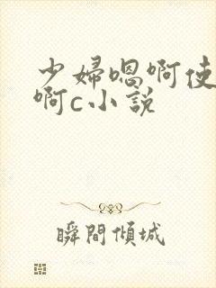 少妇嗯啊使劲嗯啊c小说