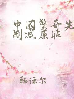中国惊奇先生无删减原版