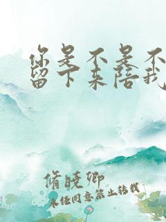 你是不是不愿意留下来陪我是什么歌