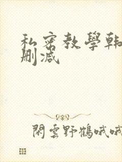 私密教学韩漫未删减