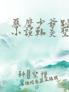 恶魔少爷别惹我小说韩炎圣