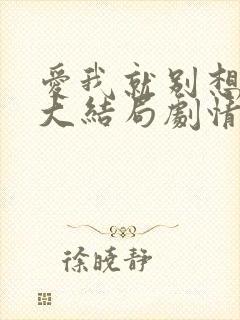 爱我就别想太多大结局剧情