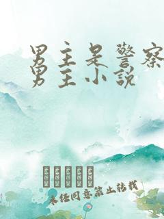 男主是警察的双男主小说