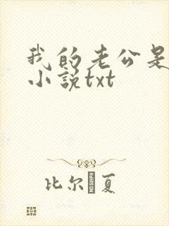 我的老公是冥王小说txt