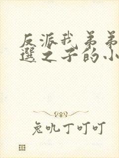 反派我弟弟是天选之子的小说