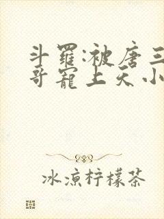 斗罗:被唐三哥哥宠上天小说完整版本