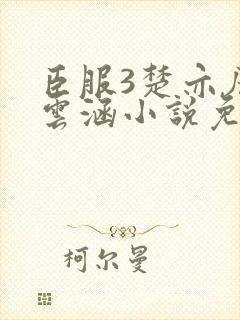 臣服3楚亦辰楚云涵小说免费阅读