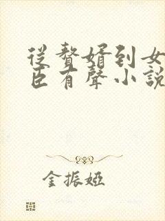 从赘婿到女帝宠臣有声小说