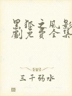 黑狐之风影电视剧免费全集在线观看