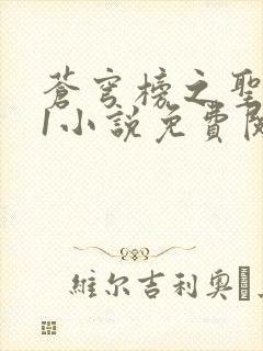 苍穹榜之圣灵纪1小说免费阅读