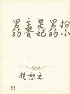 男主是男扮女装的贵妃的小说