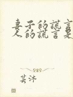 妻子的谎言和爱人的谎言是一个剧吗