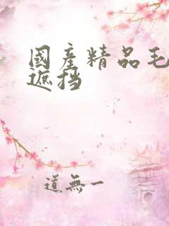 国产精品毛片无遮挡