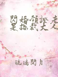 闪婚领证老公竟是总裁大人小说