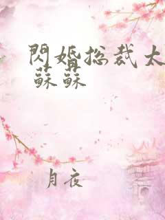 闪婚总裁太霸道 苏苏