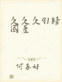 久久久91精品国产