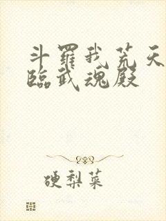 斗罗我荒天帝降临武魂殿