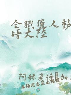 全职猎人动漫黑暗大陆