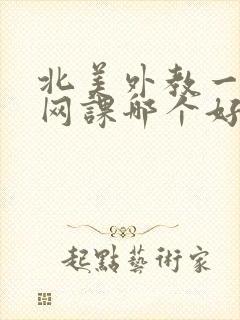 北美外教一对一网课哪个好