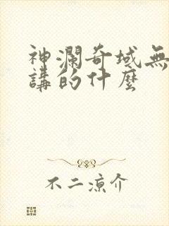 神澜奇域无双珠讲的什么