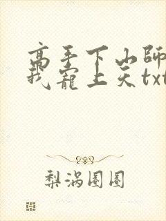 高手下山师姐将我宠上天txt