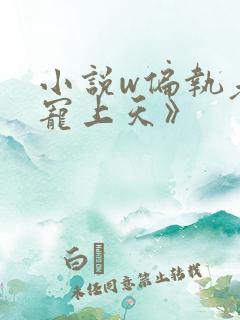 小说w偏执老公宠上天》