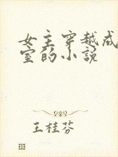 女主穿越成了外室的小说