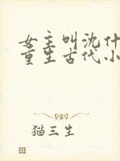 女主叫沈什么的重生古代小说