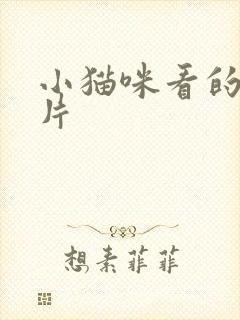 小猫咪看的动画片