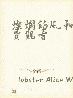 灿烂的风和海免费观看